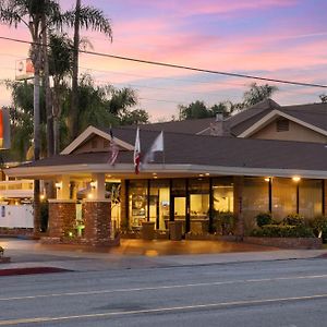 Best Western Plus Carriage Inn